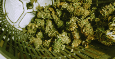 Industrial Screen & Maintenance manufactures hemp filtration equipment screens for hemp manufacturing applications.  